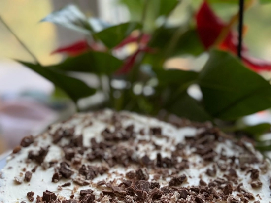 Fridge cake