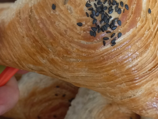 Samsa