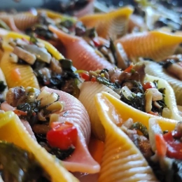 Conchiglie 5 colors (muszla pięciosmakowa) z kurczkaiem