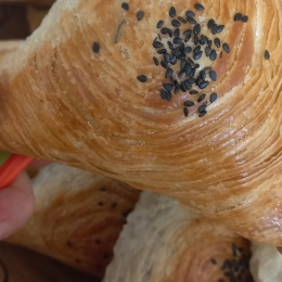 Samsa