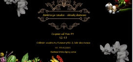 Ambrozja smaku - obiady domowe