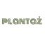 Plantaż P.