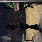 image broken